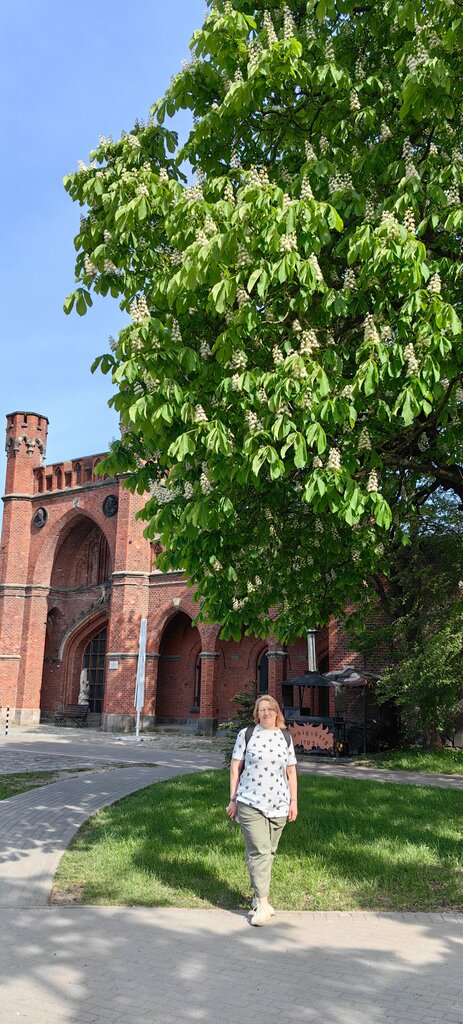 Turistik yerler Rossgarten Gate, Kaliningrad, foto