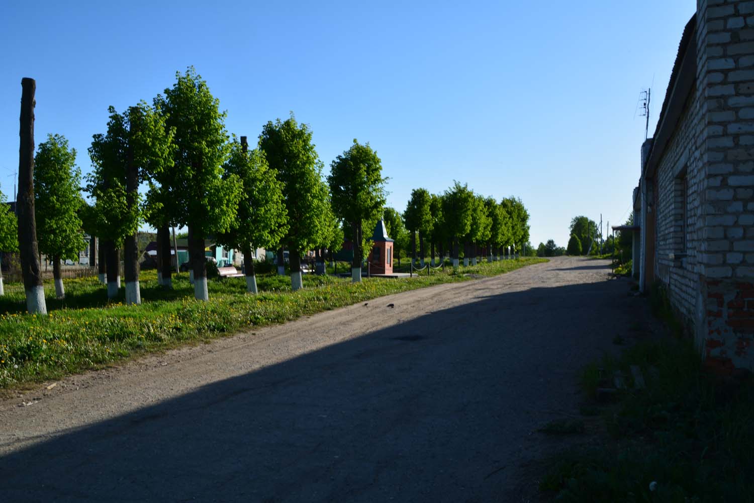 Фото Лес среди болот