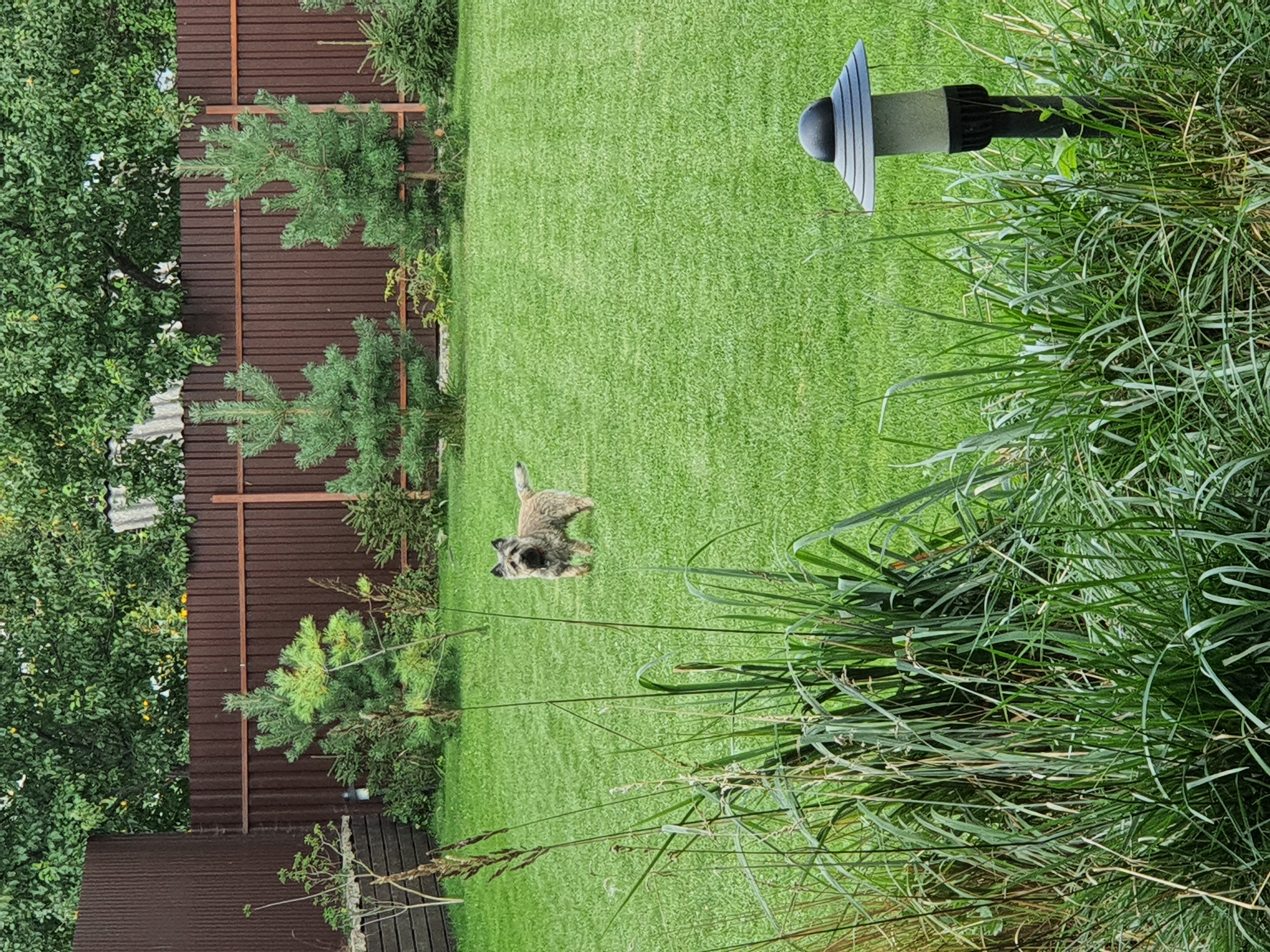 Фото Гостевой дом у Иветты