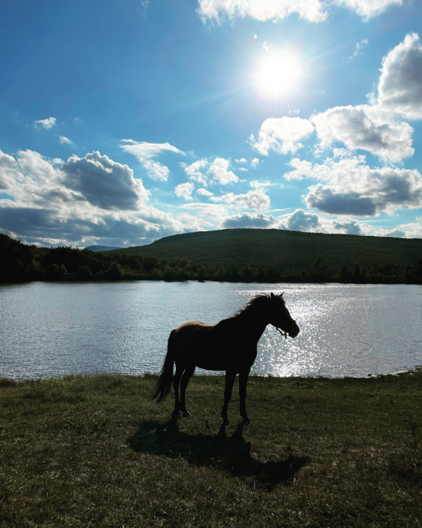 Фото Солнечное озеро