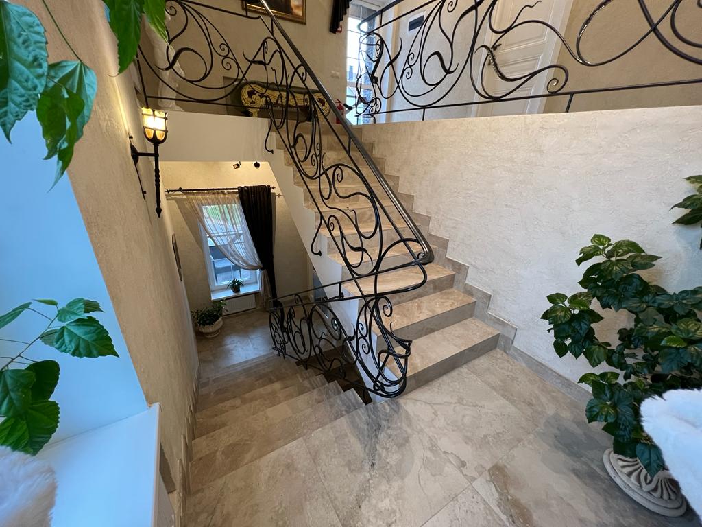 Фото Серый Волк