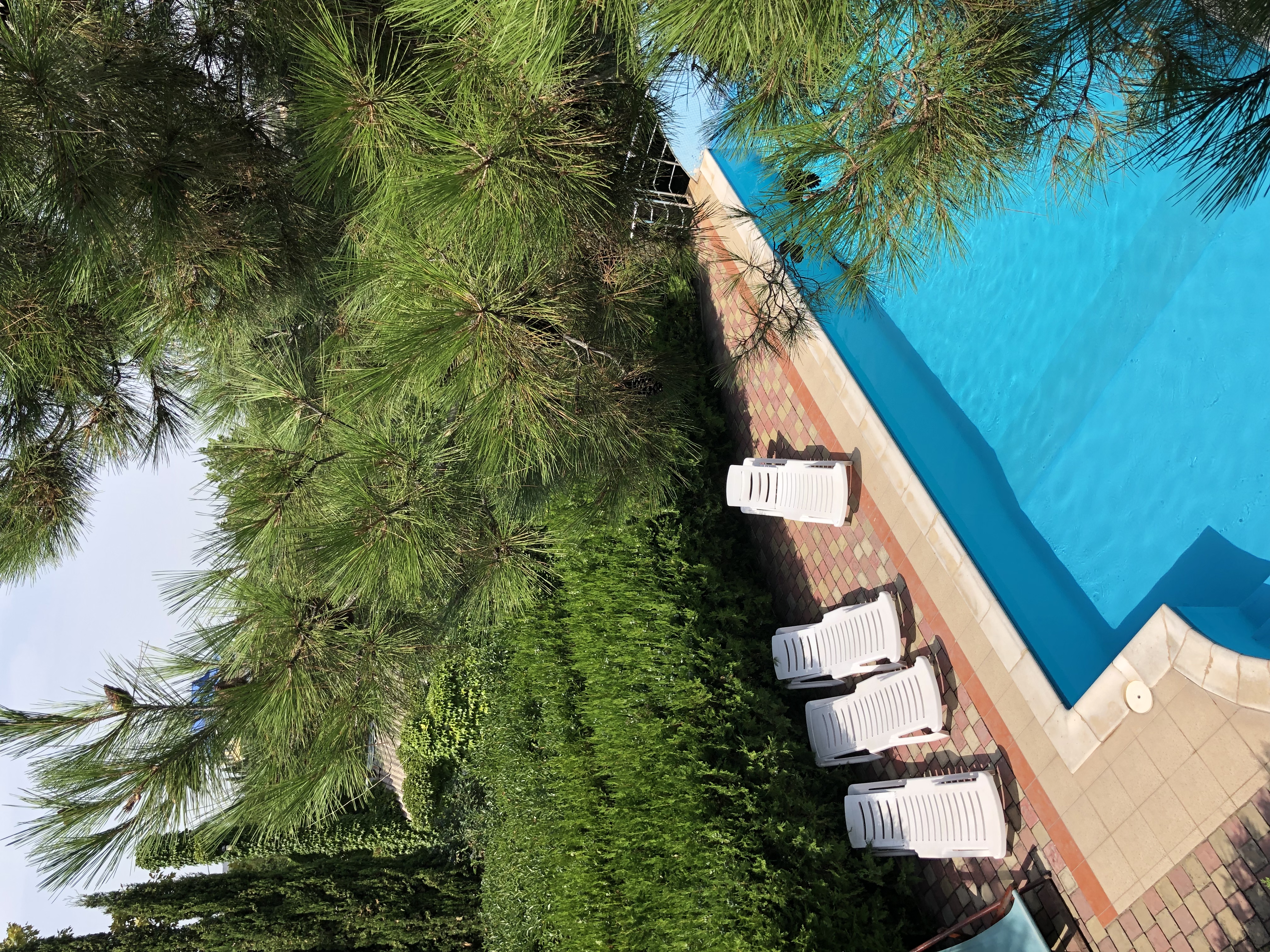 Фото Афалина