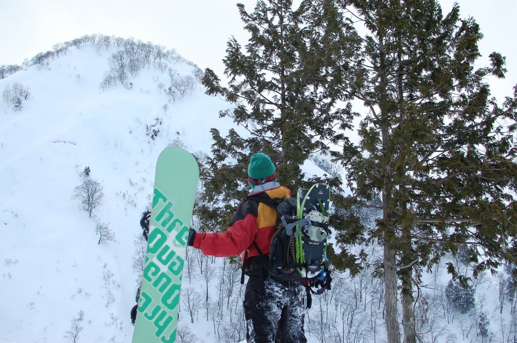 Фото Albego Il Bosco
