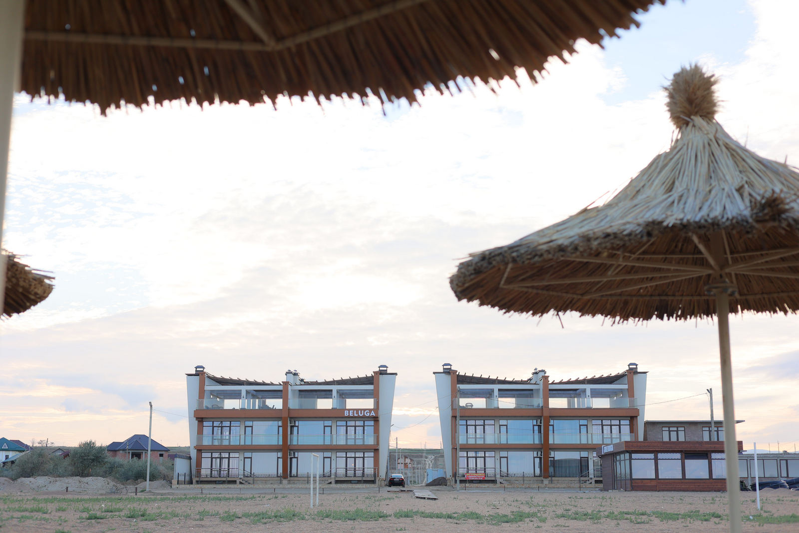 Фото Белуга