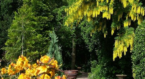 Внешний вид отеля Ocklynge Manor в Истборне, фото 5