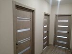 Двери (ulitsa Aleksandra Pecherskogo, 3), doors
