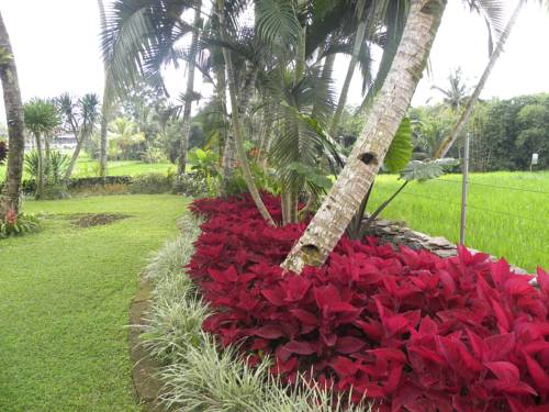 Фото Saudara Home