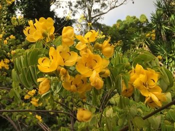 Фото Casa Do Jardim