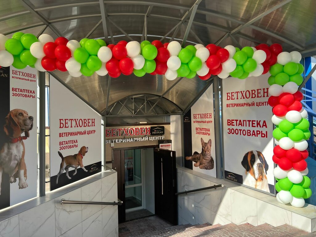 Veterinary clinic BetVET, Khabarovsk, photo