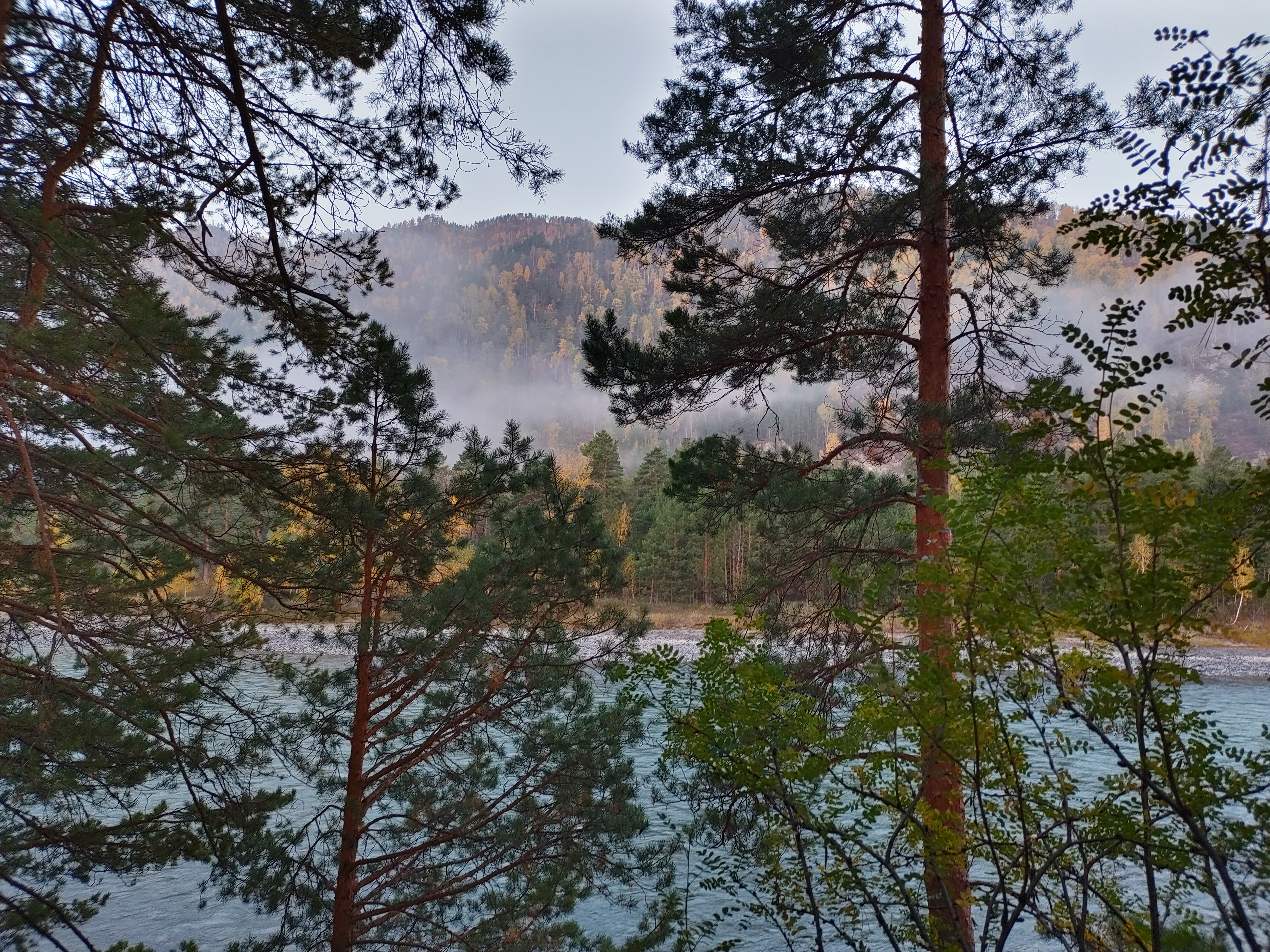 Фото Алтай берег