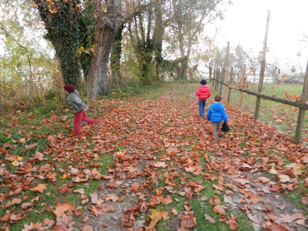 Фото B&b Casanonni Borgo Angeli