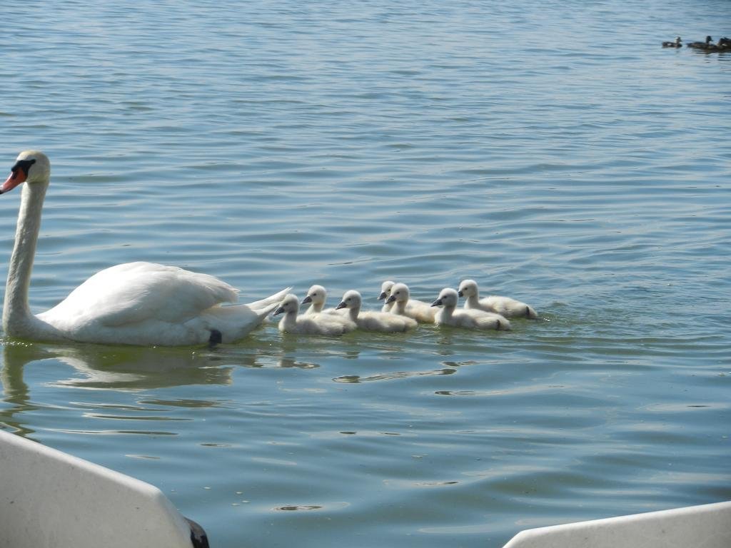 Фото B&b Casanonni Borgo Angeli