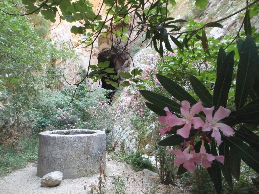 Фото Hotel Dehesilla