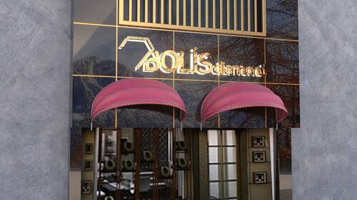 Bolis Pırlanta Fotoğraf 2