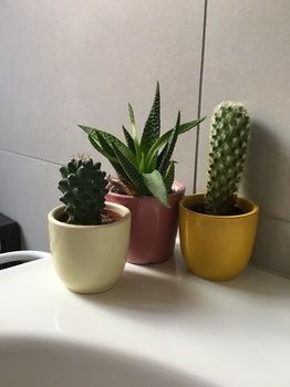 Фото B&b Sterlizia