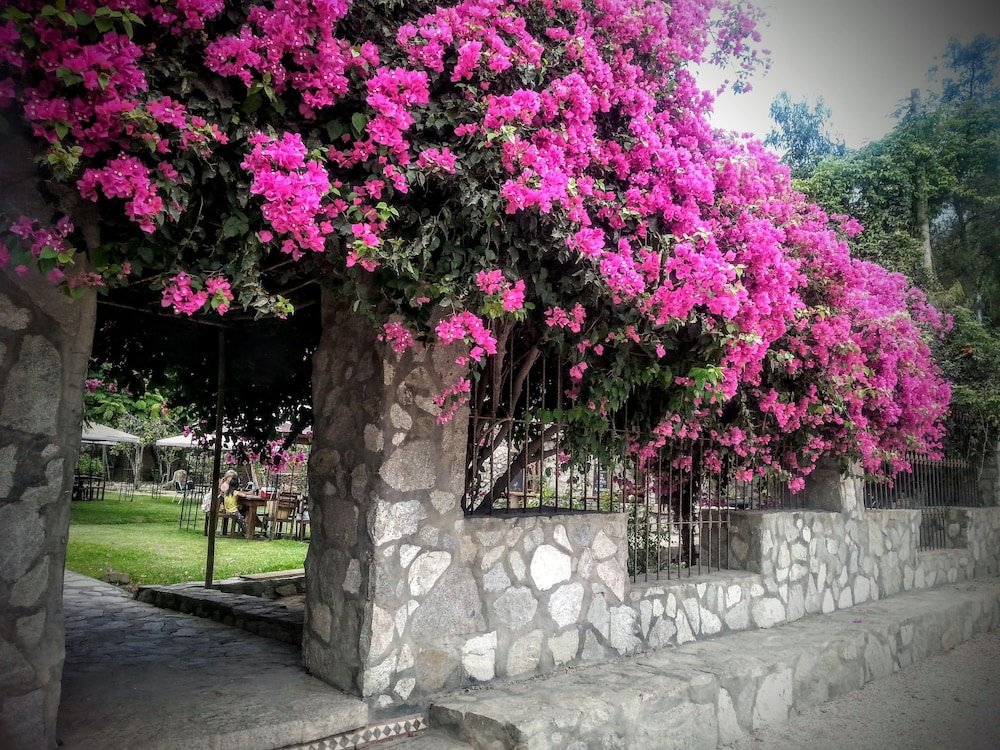 Фото Refugio de Santiago Ecolodge