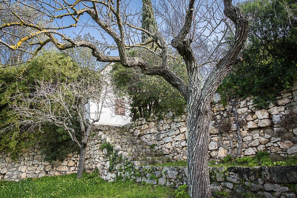 Фото Alloggio Turistico Le Calle