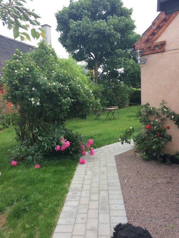 Фото Pegasus Bed And Breakfast