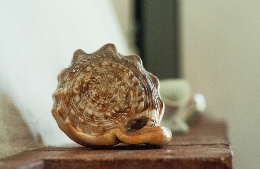 Фото Nonna Vincenza