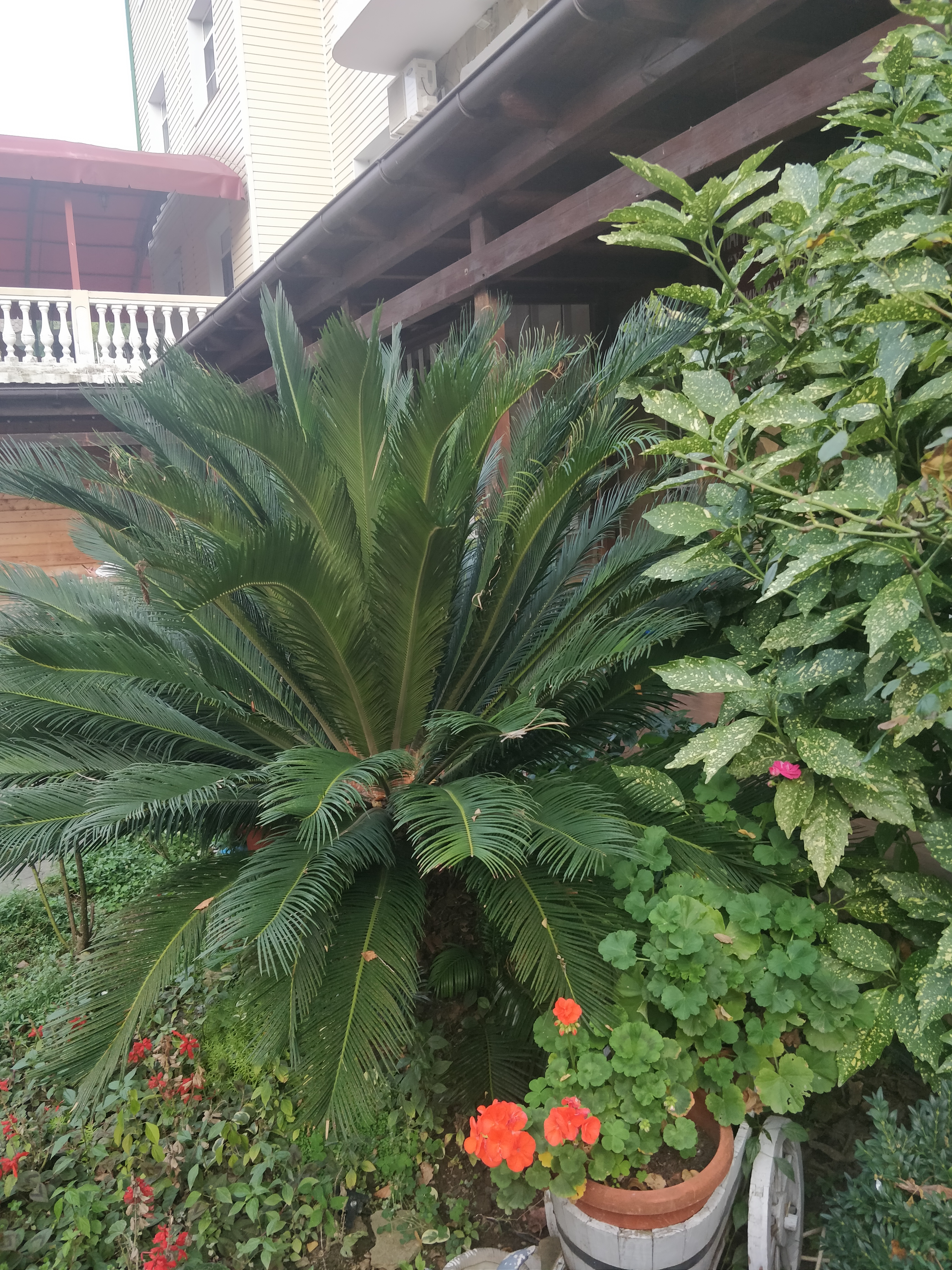 Фото отеля 2