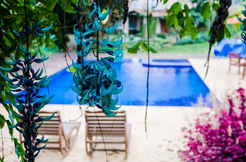 Фото Pousada Quinta do Jade