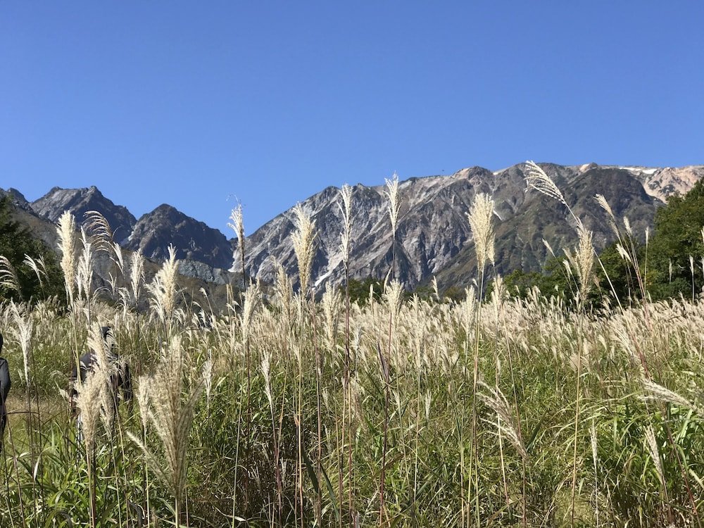 Фото Shakespeare Hotel