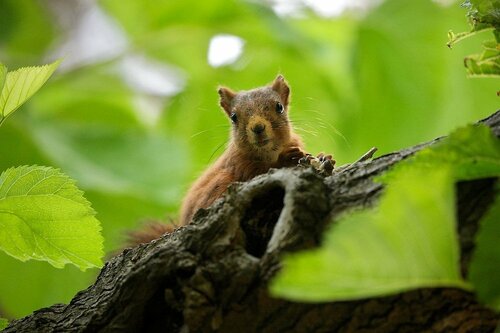Внешний вид отеля Tamarit Beach Resort в Таррагоне, фото 5