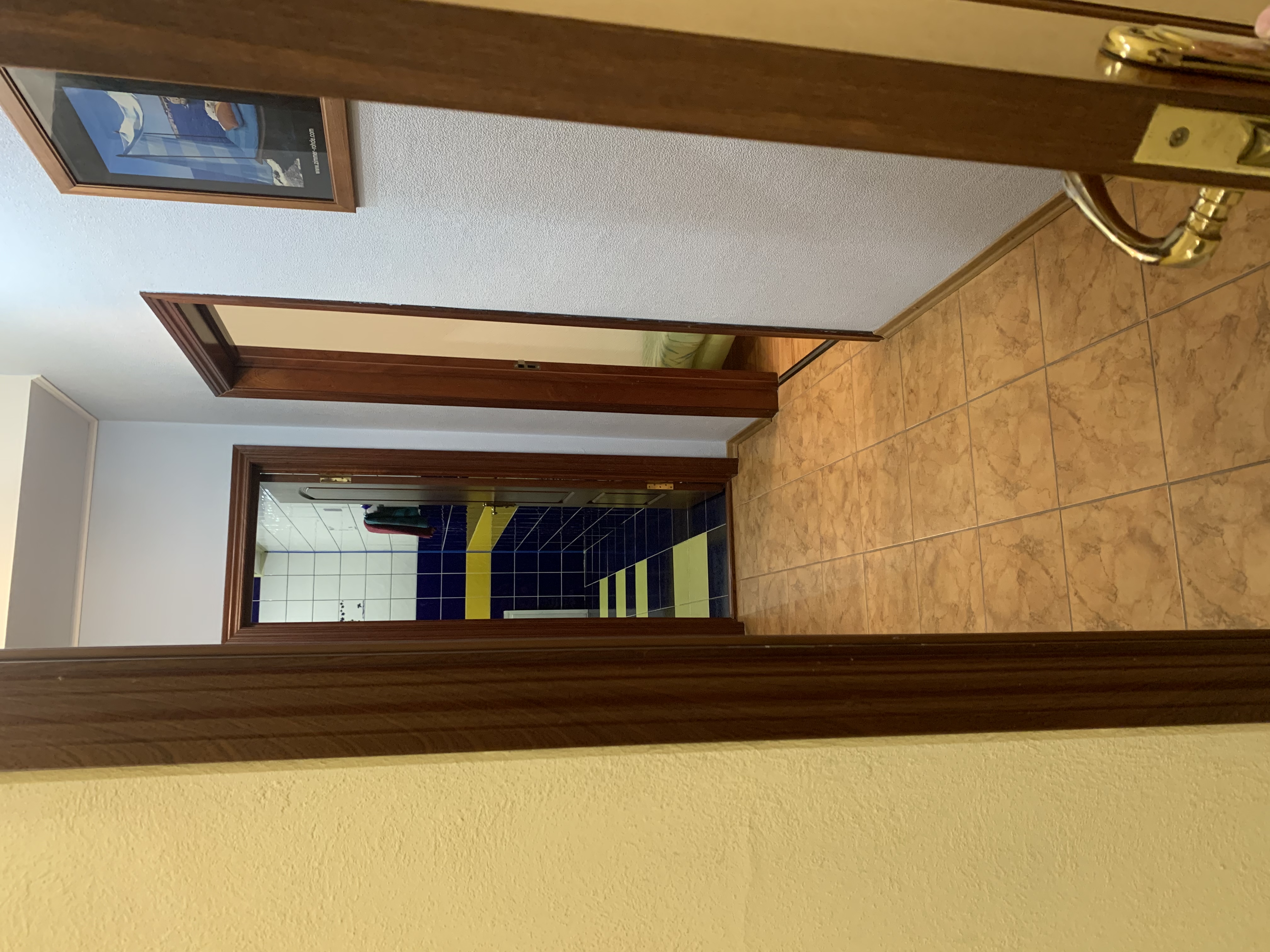 Фото Сосны плюс