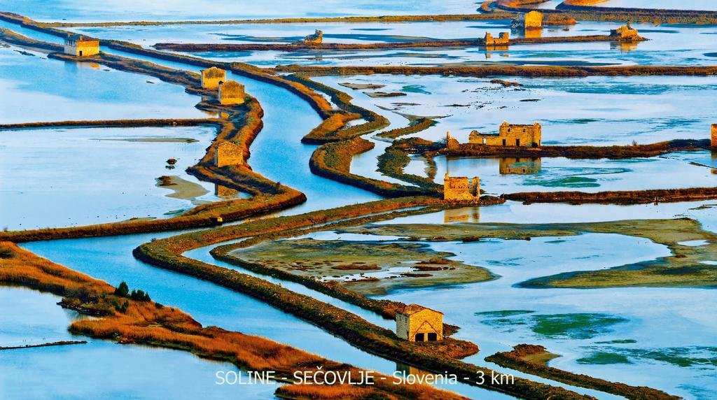 Фото Apartments Green Place