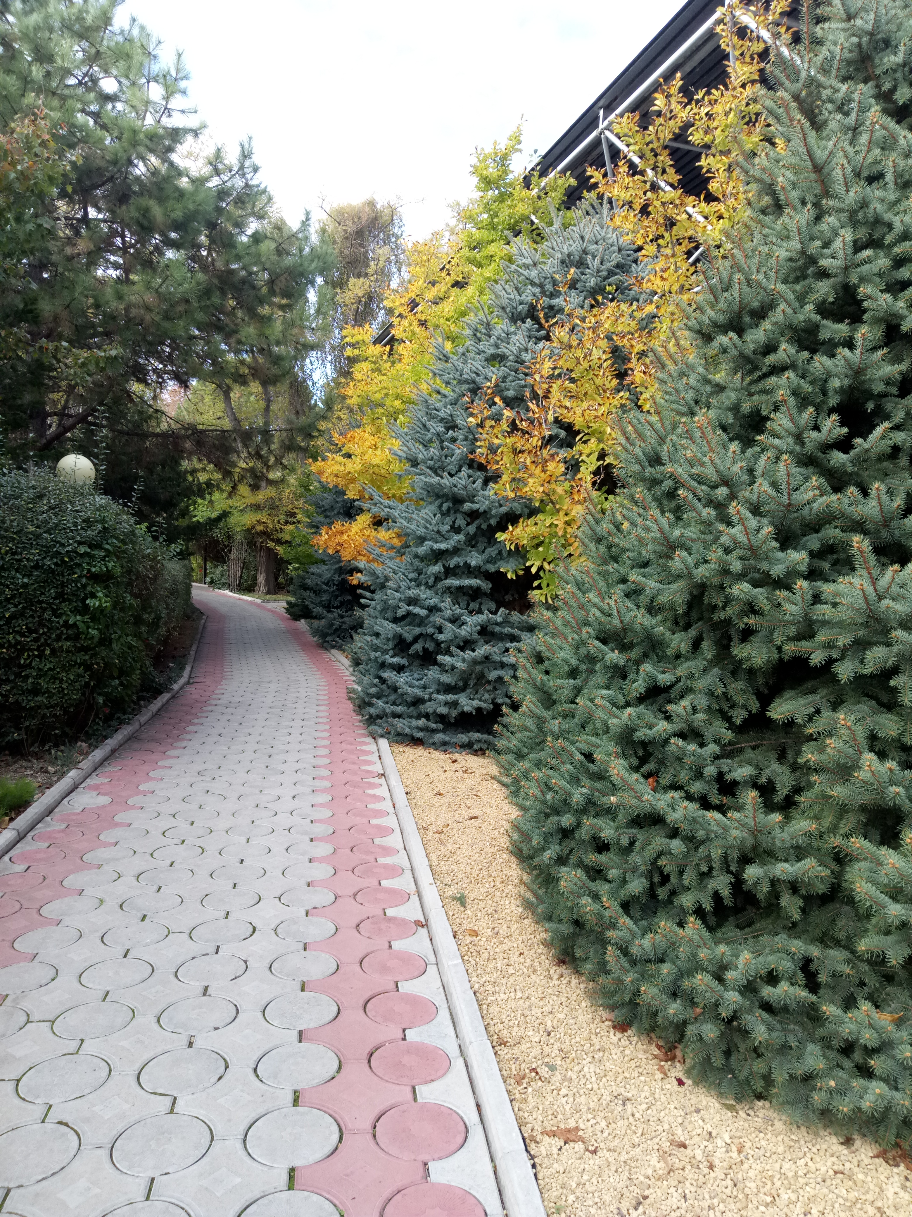 Фото Солнечный