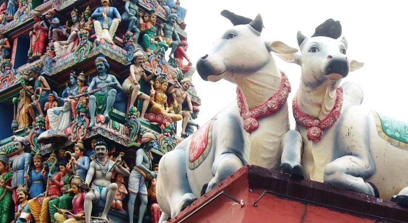 Фото CUBE Boutique Capsule Hotel Chinatown