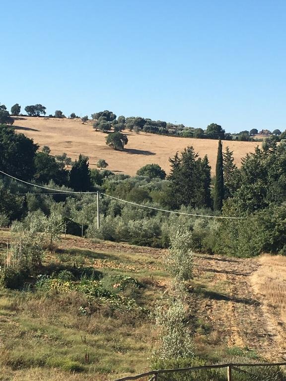 Фото B&b La Piaggia