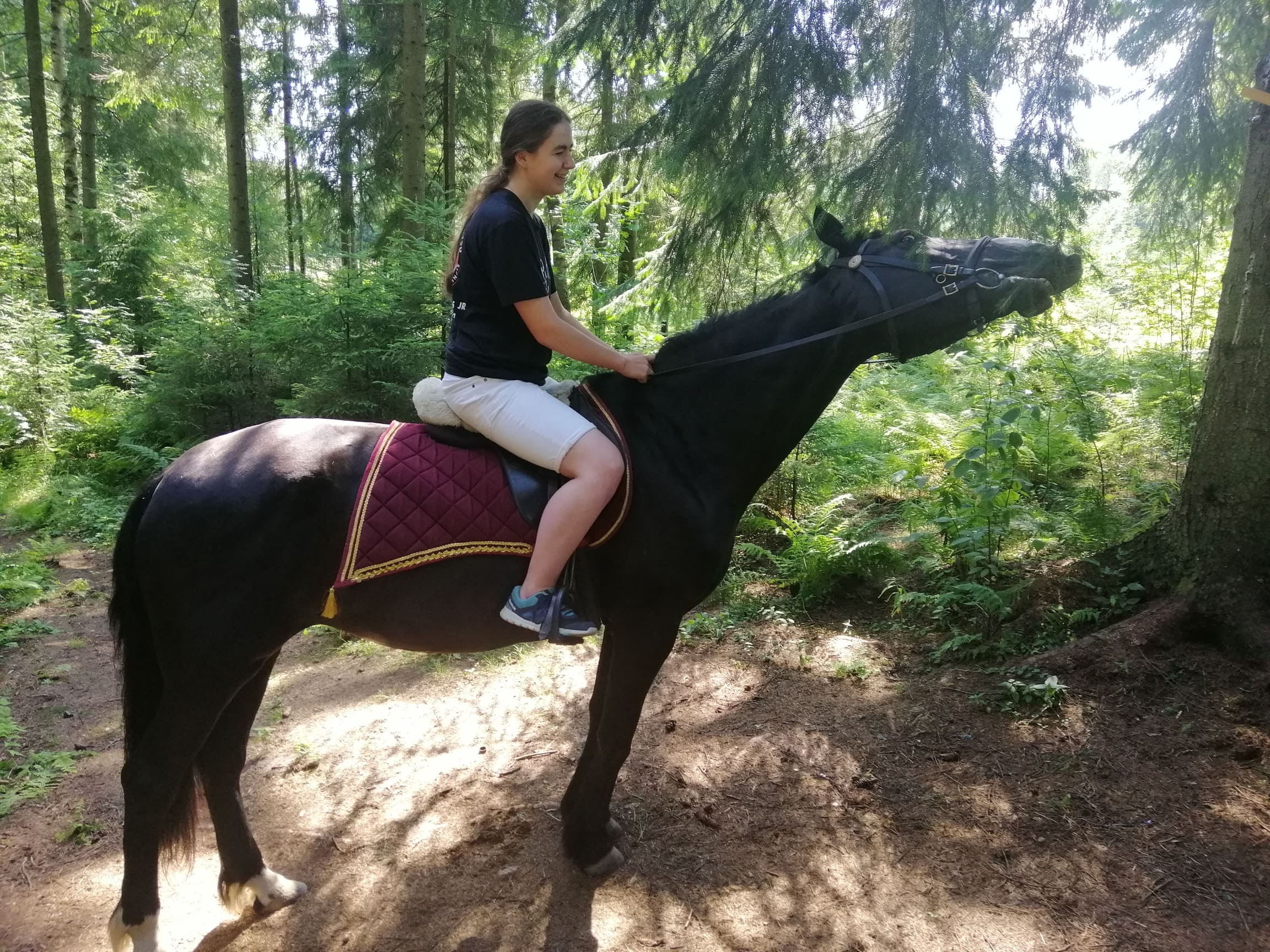 Фото Парк Лесок