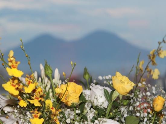 Фото Grand Hotel Parker's