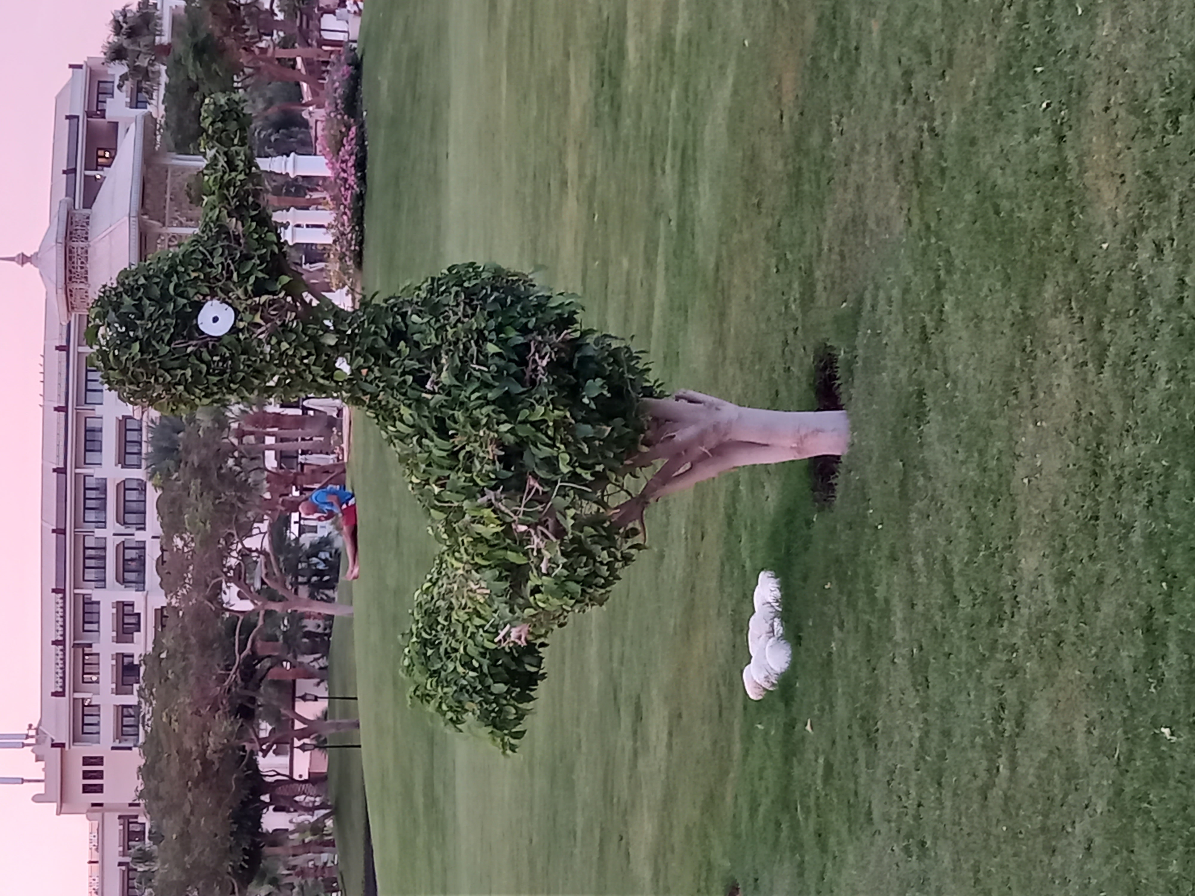 Фото Steigenberger Aqua Magic