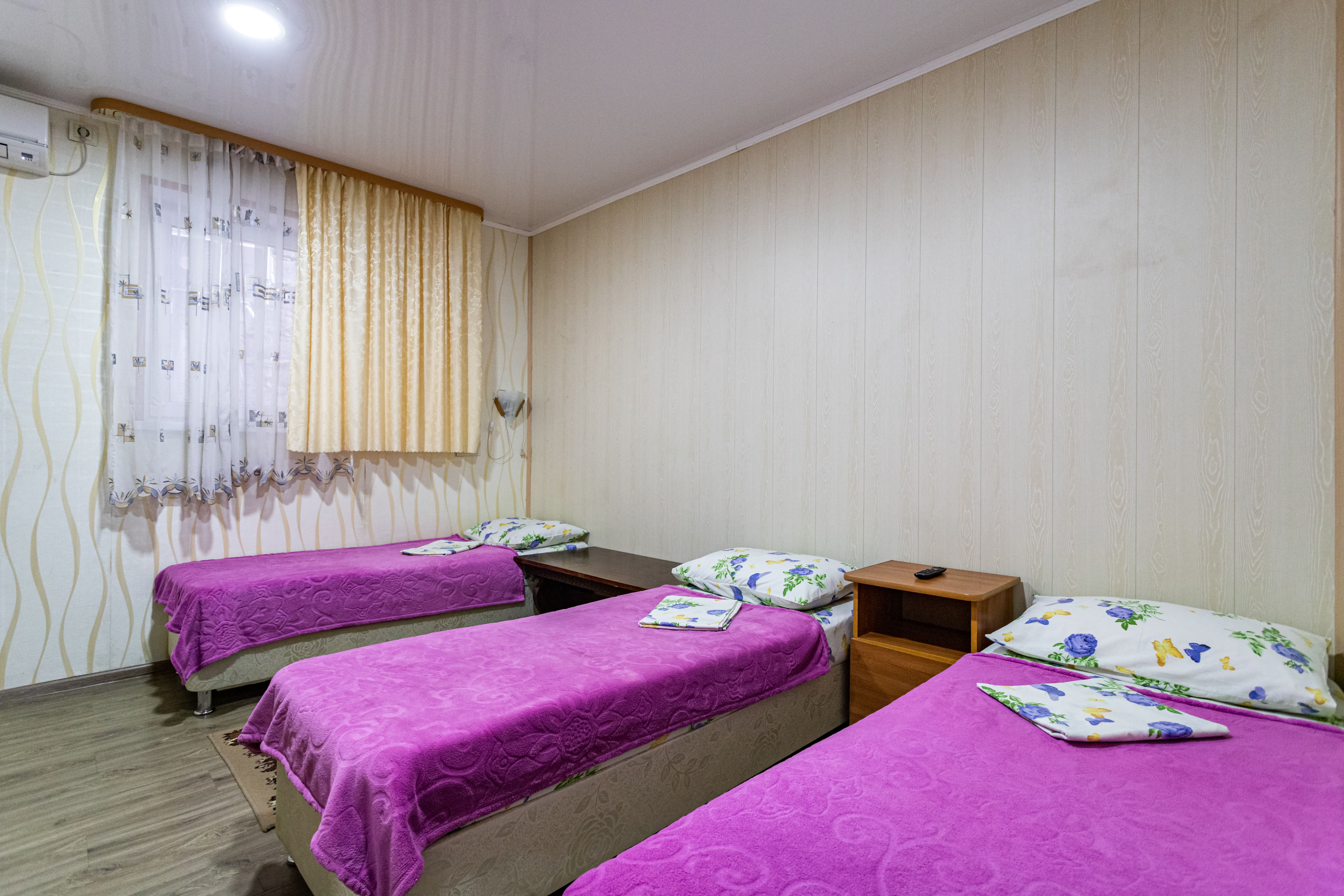 Фото Вереск