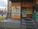 SoZnanie (Michurina Street, 19) ، مركز تنمية الأطفال
