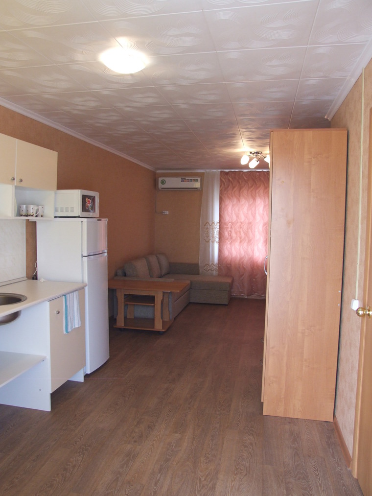 Фото Актиния