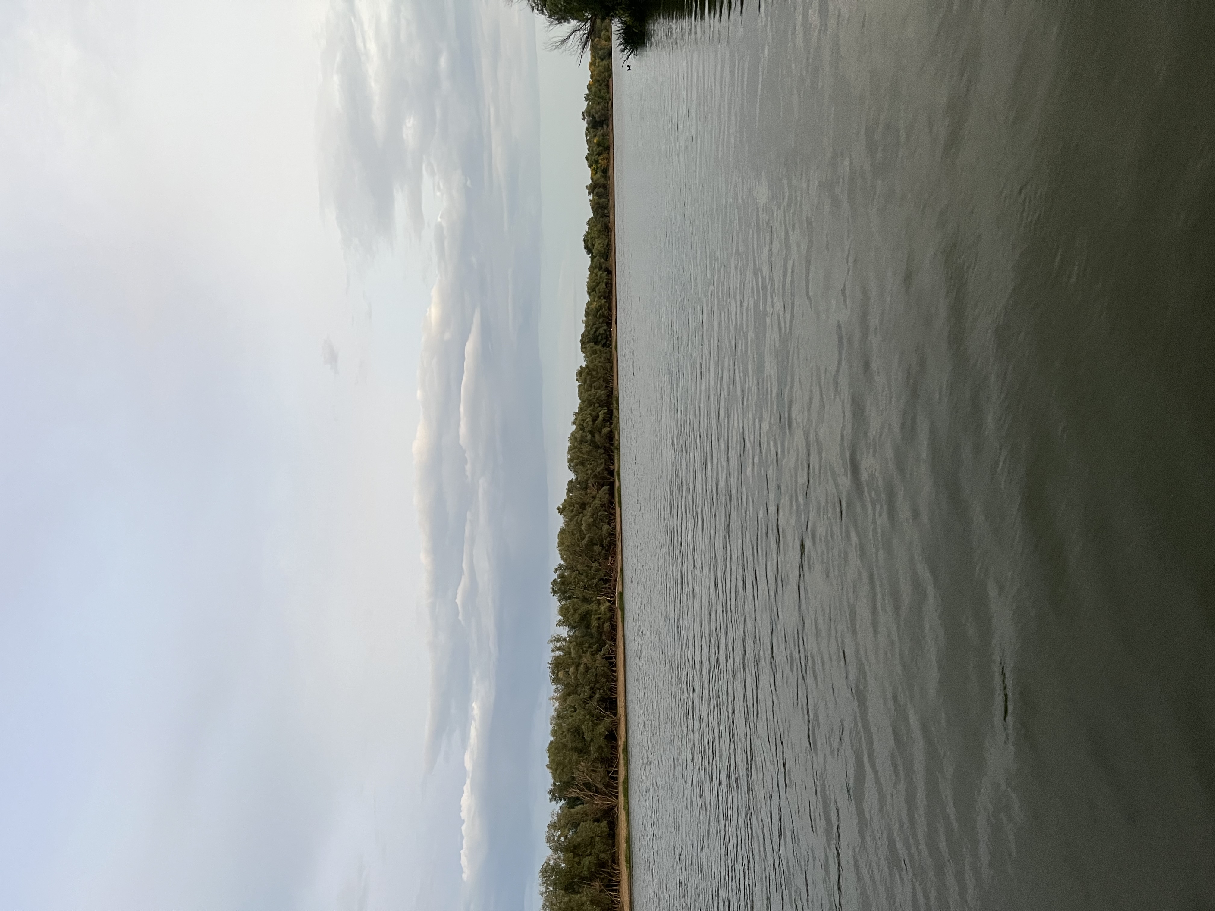 Фото Лазурная