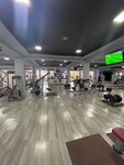 Willpower Fitness (Mirzo Ulugʻbek koʻchasi, 82A),  Toshkentda sport, trenajyor zali