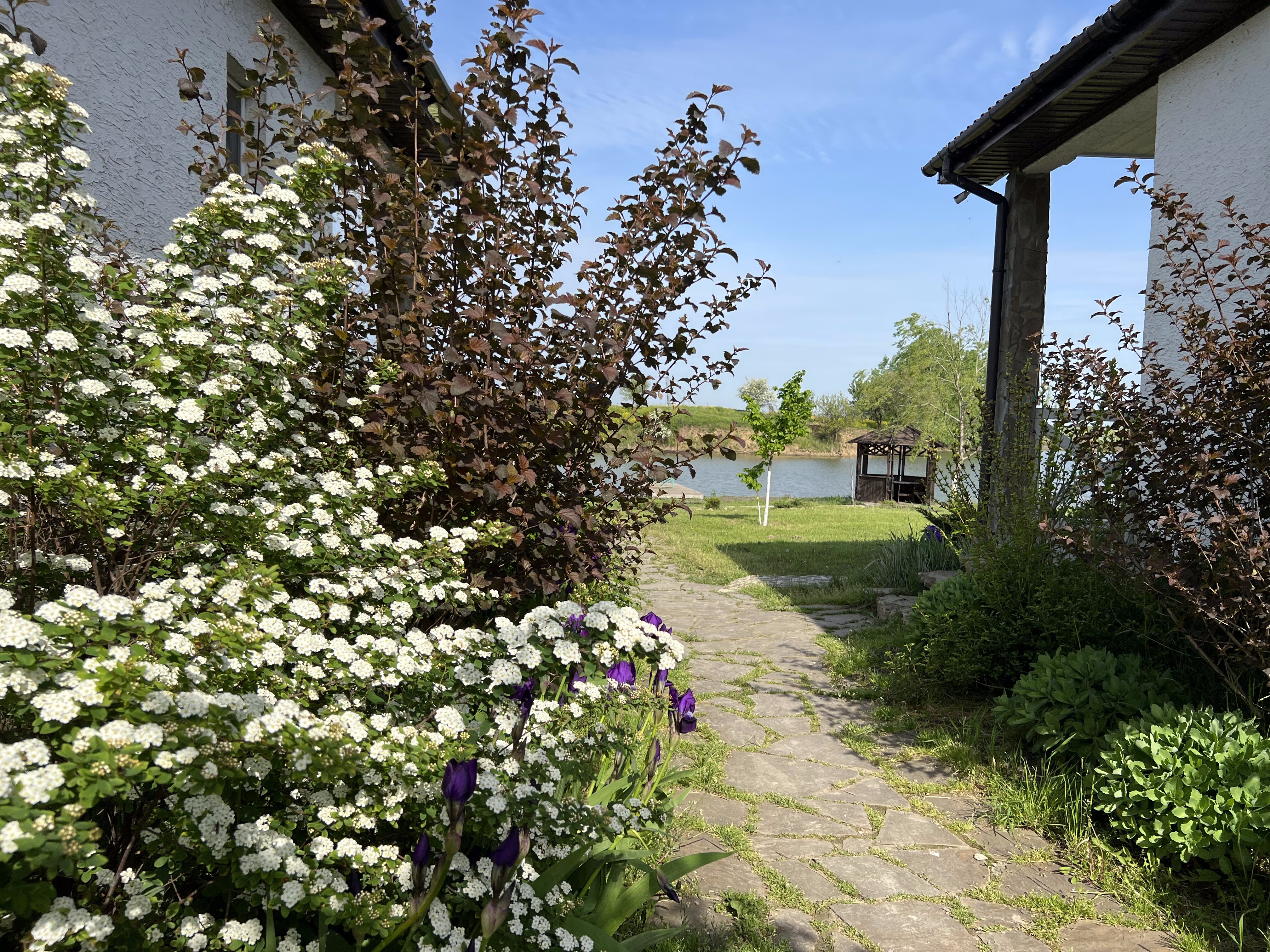 Фото Терра23