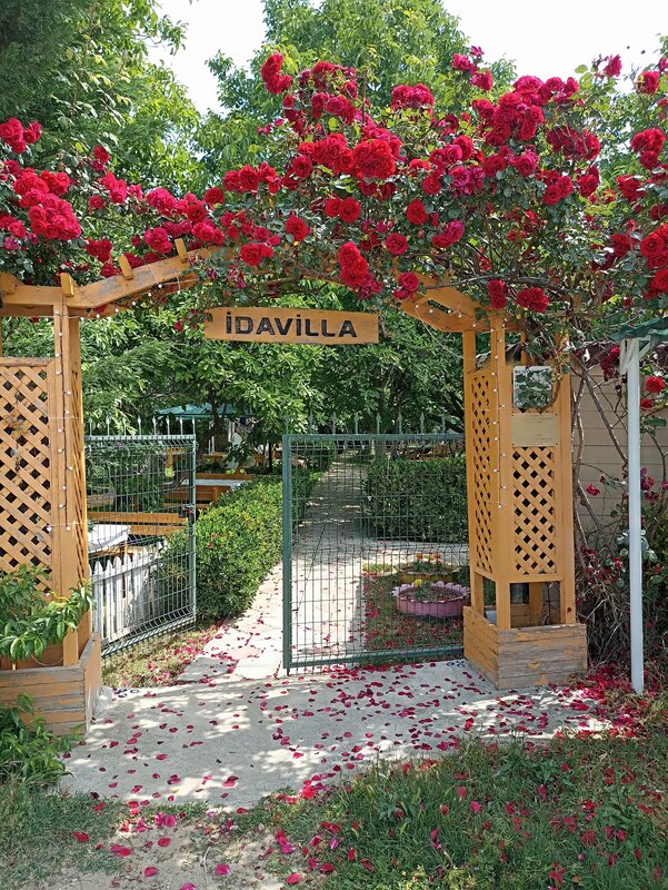 Гостиница Kaz Daglari Idavilla Bungalow Hotel в Эдремите