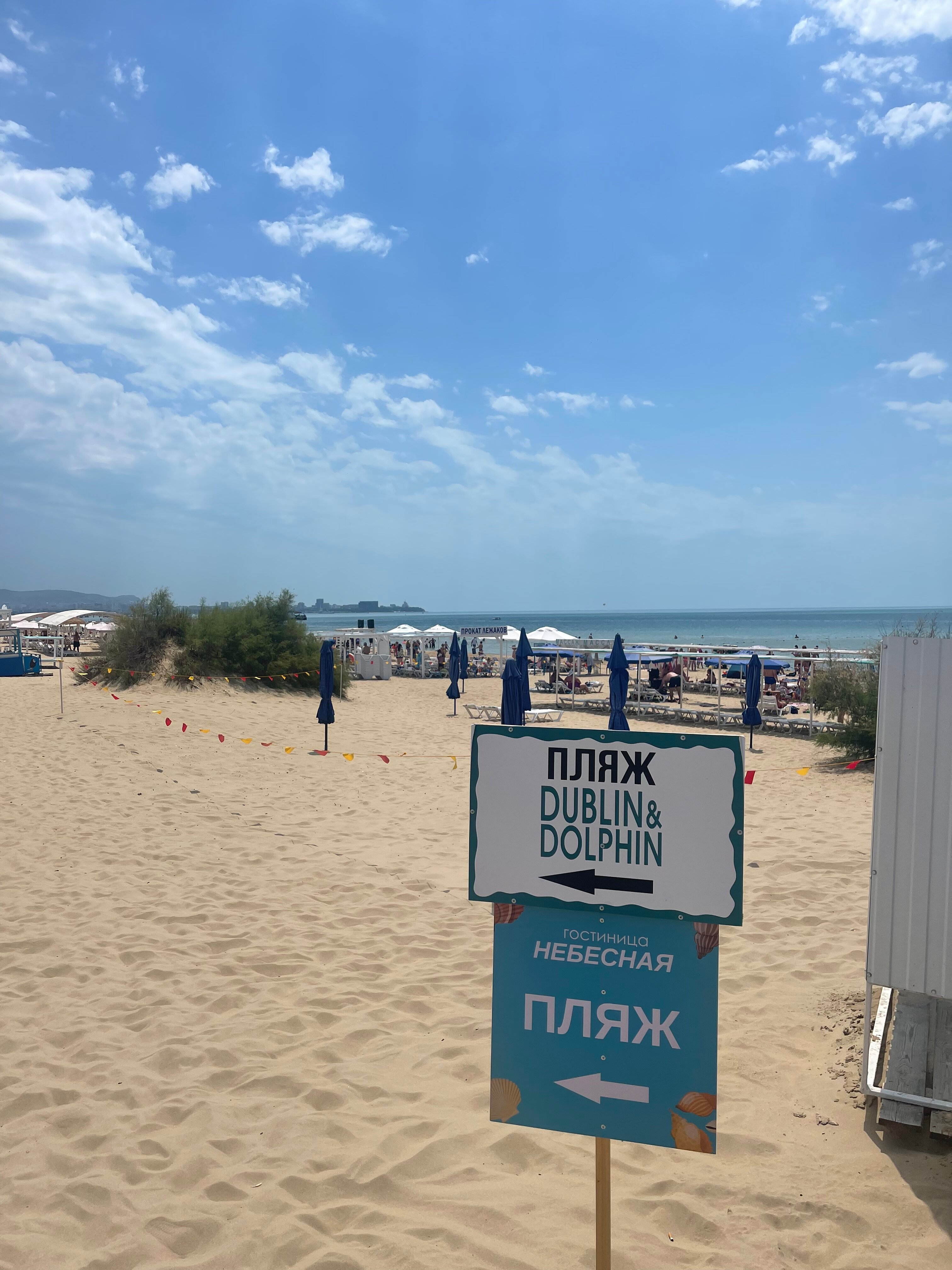 Фото Небесная