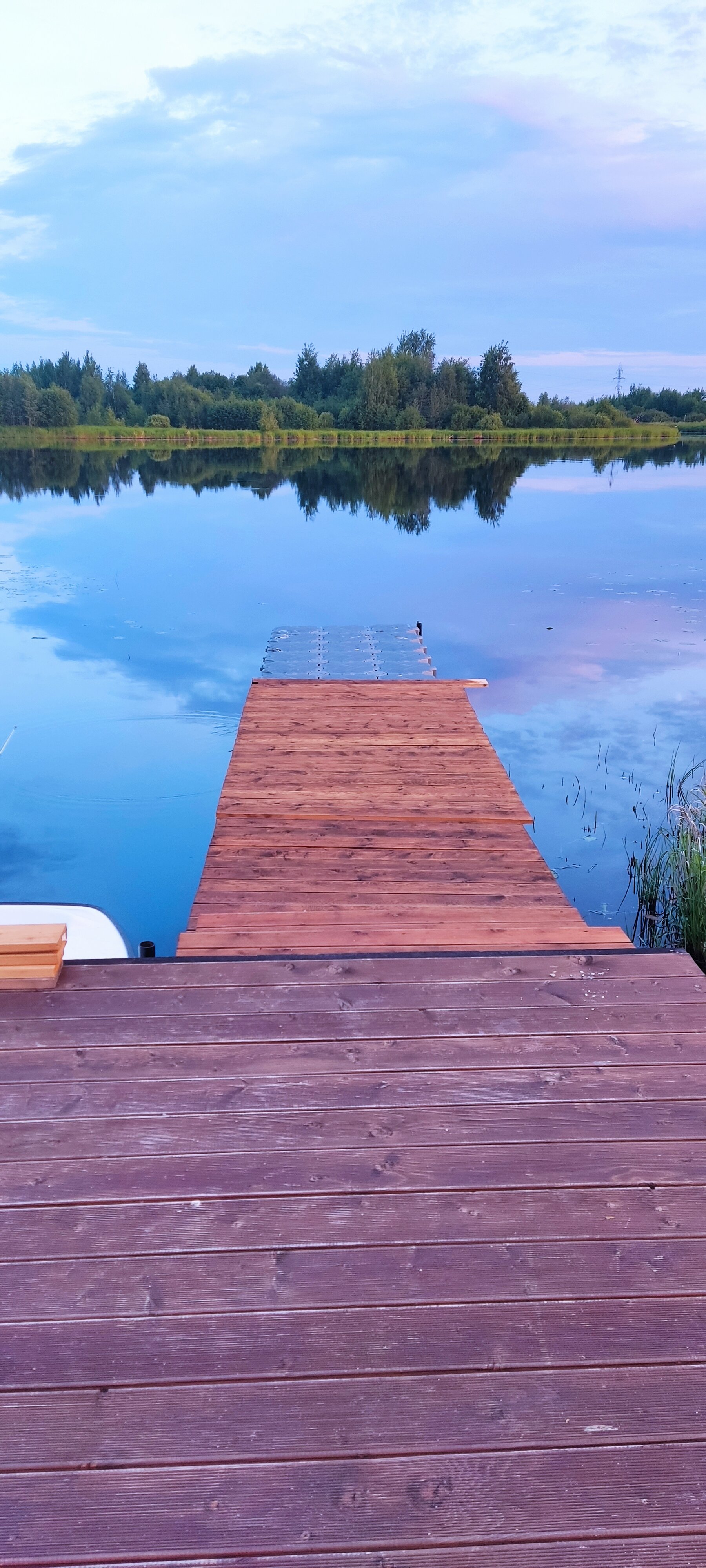 Фото Крокус