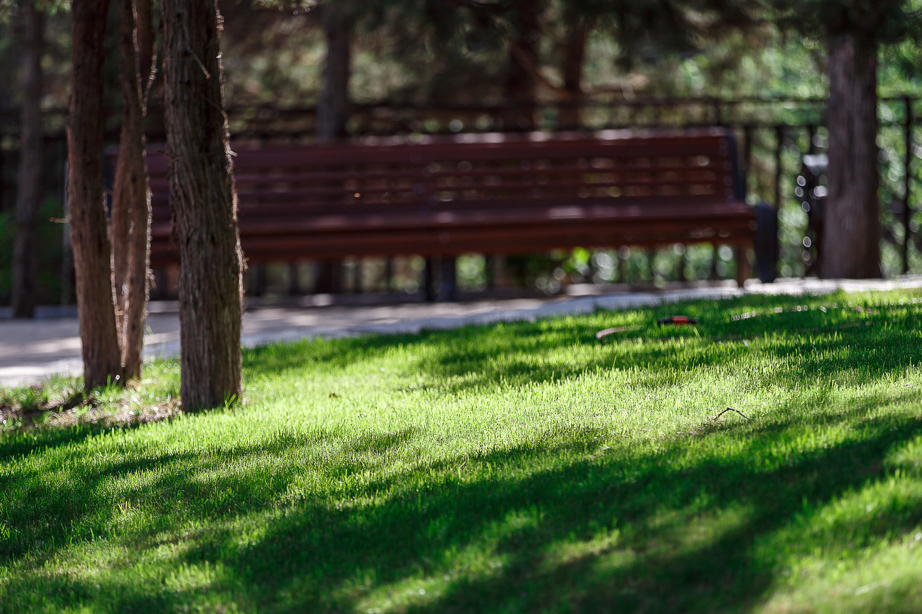 Фото Вилла Эдем