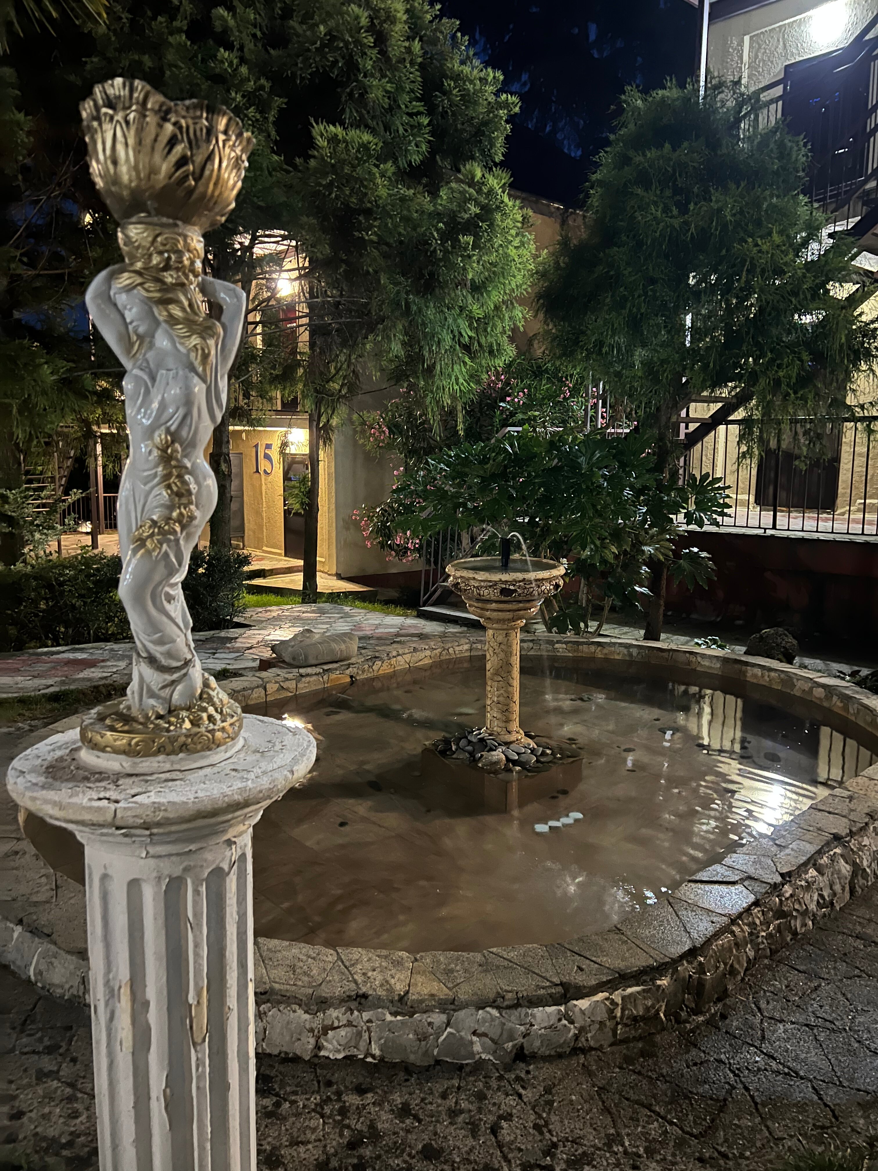 Фото Дивный