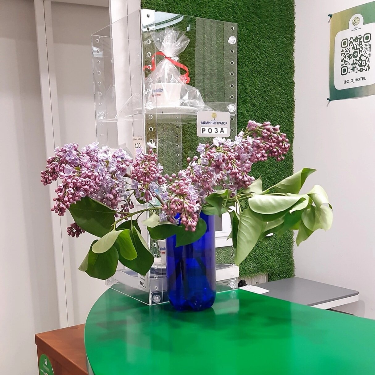 Фото City Garden