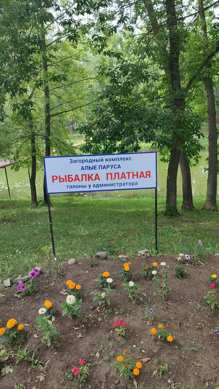Алые паруса — фото 12