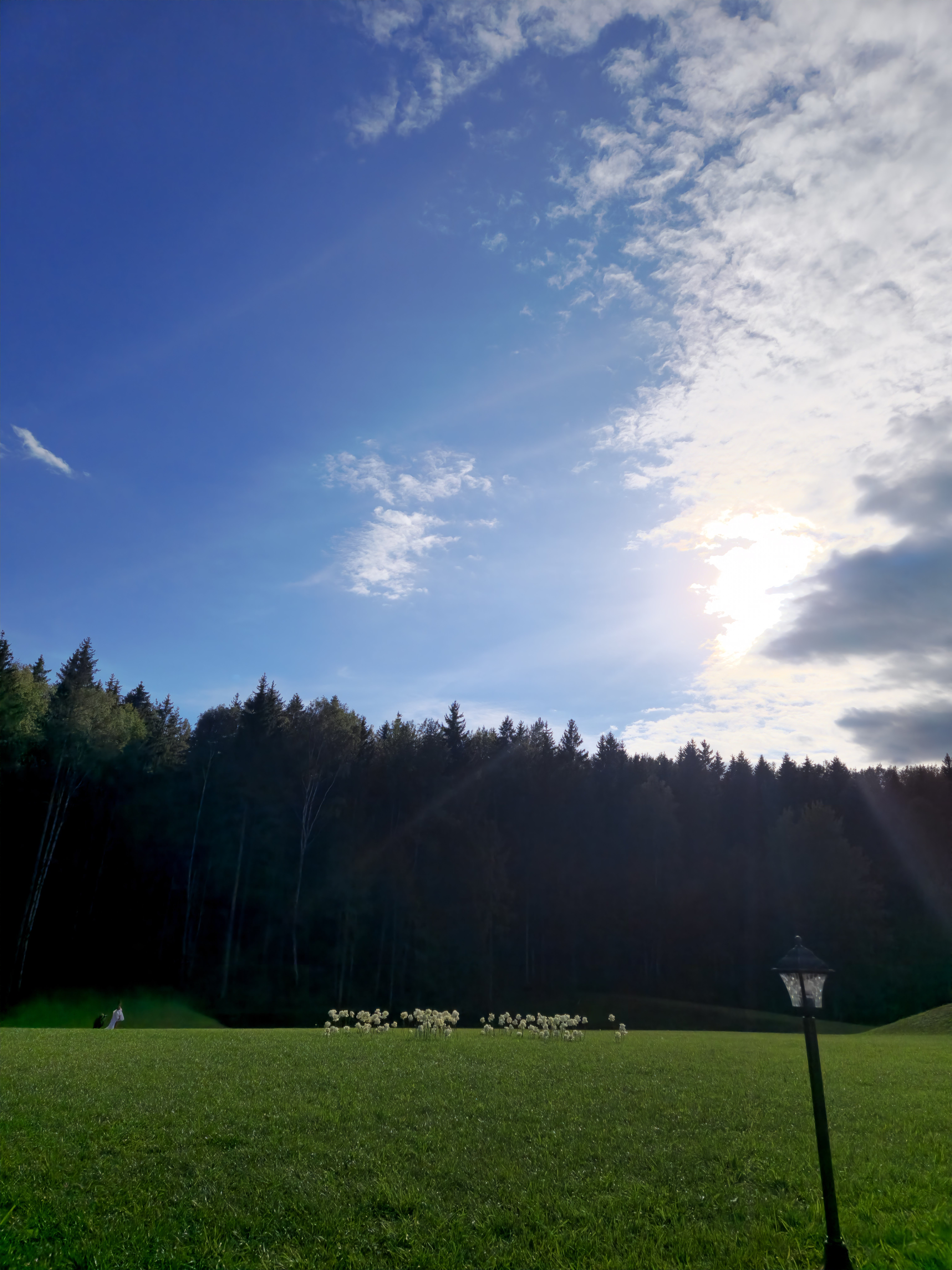 Фото Усадьба Royal Hall