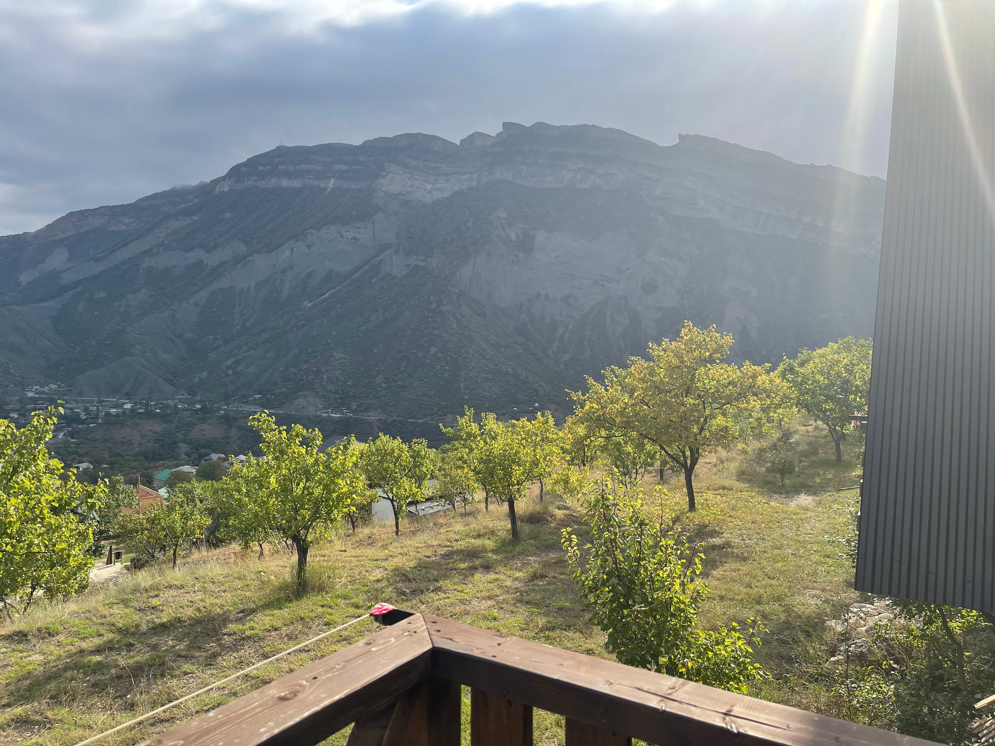 Фото Сиреневый рассвет